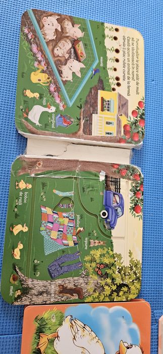 Set carti animale copii