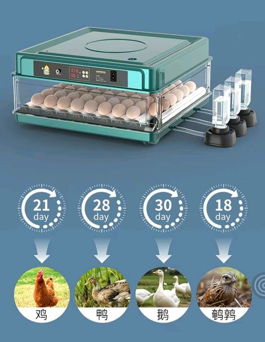 Товуқ тухумга мўлжалланган тўлиқ автоматик инкубатор сотилади