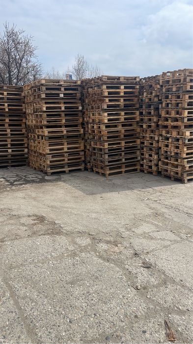 Palet Paleti TipEuro 800x1200