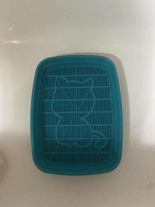 туалет для маленького котенка