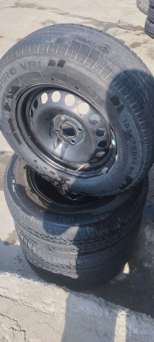 R 14 kobilt juguli nexia 2 3 tuwadi holati zur