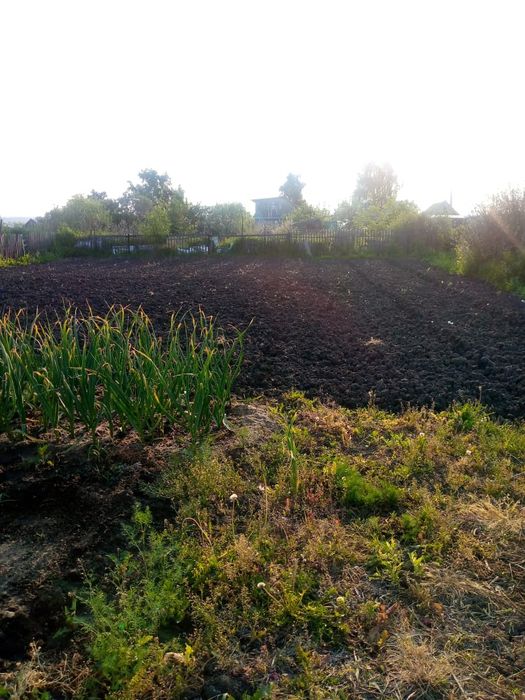 Продам дачу возле Новопавловки.