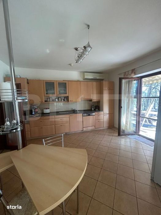 Vila Remetea Mare 380mp utili, 3982 mp teren