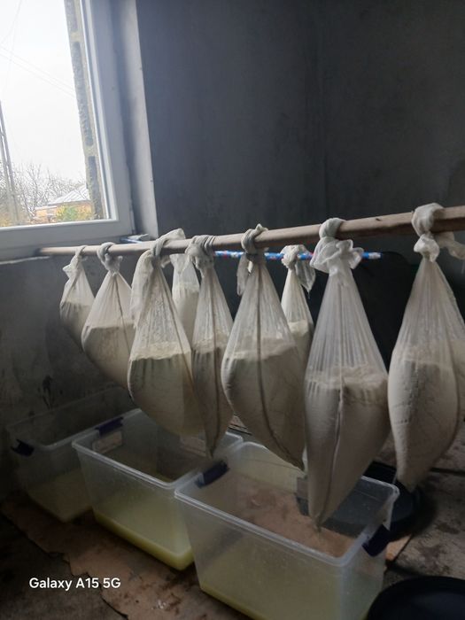 Vând  branza vaca  cantități mici și mari