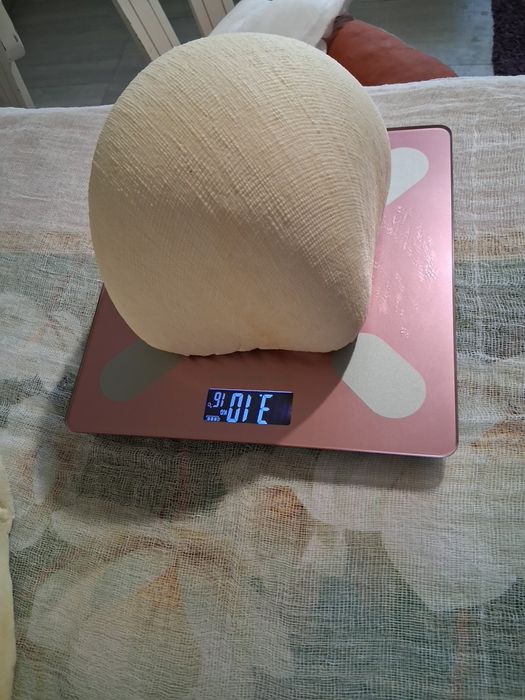 Cas de vaca 100%