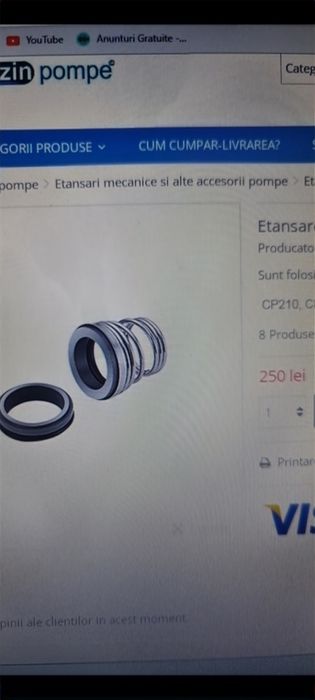 motopompa , electropompa pedrollo 220v