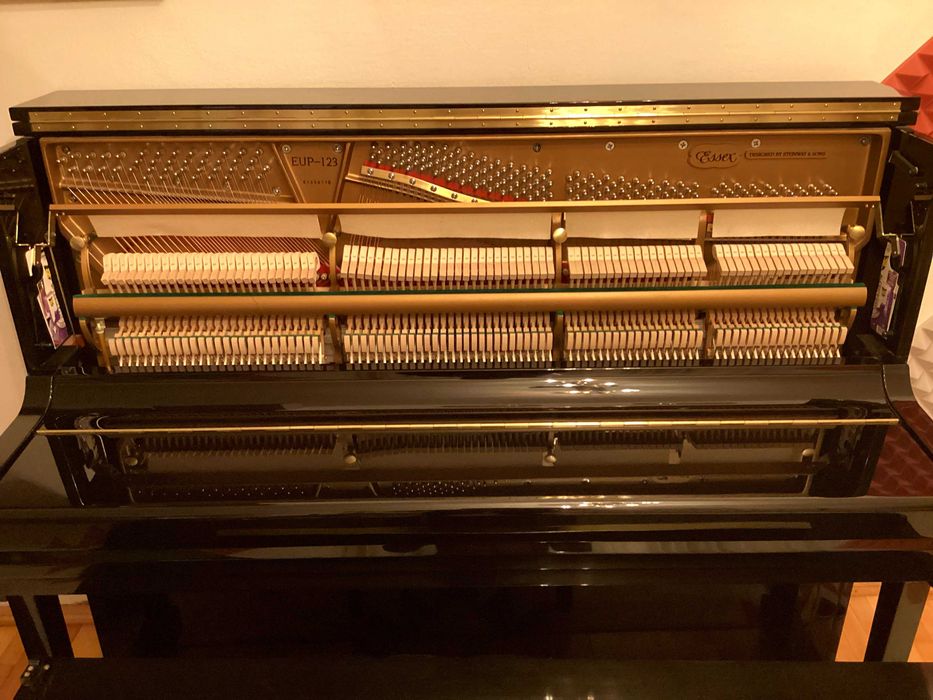 Pian Vertical Steinway & Sons, marca Essex EUP-123