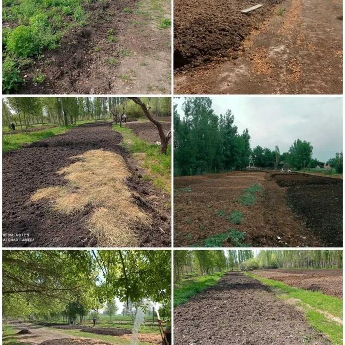 Kaliforniya chuvalchanglari hamyonbop narxda.