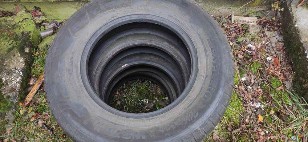 Зимни гуми PETLAS EXPLERO WINTER W671 205/80R16