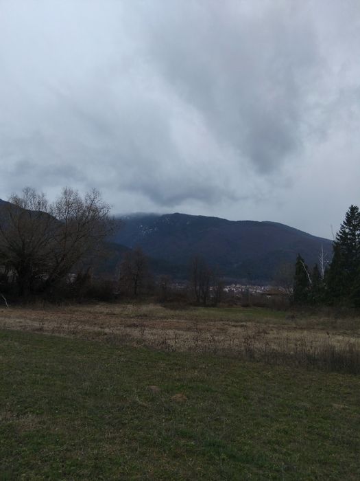 Продава се Парцел в Сапарева баня - 4000 кв.м за 41 €/кв.м - Снимка #2