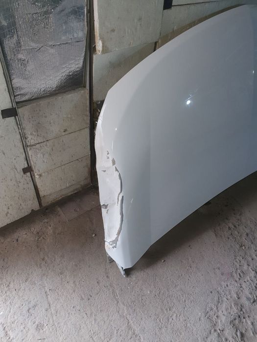 Коблт копот 2025 йилги