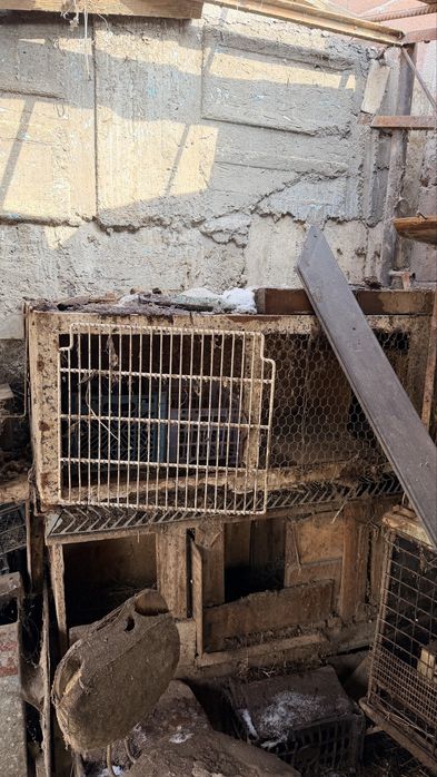 Клетки для кролов