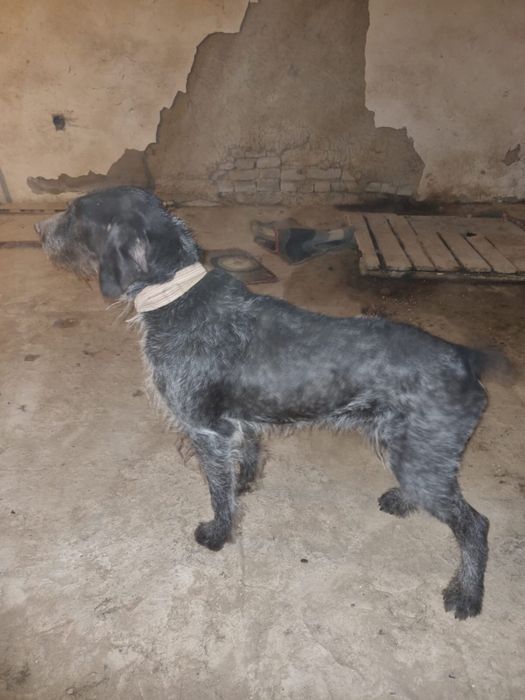 Рабочи кабель для вязки