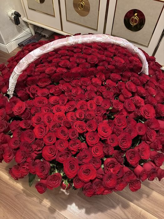 Красные розы корзина 501