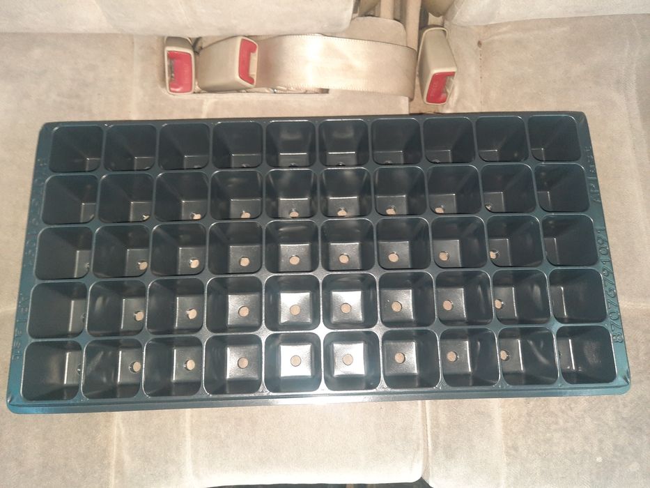 Палеты кассеты для рассады