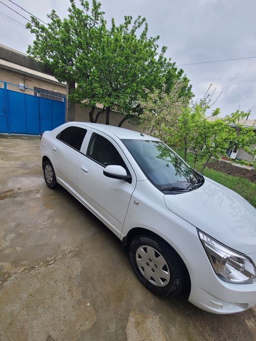 Kraska toza holati ideal abagrif bor prabeg halol