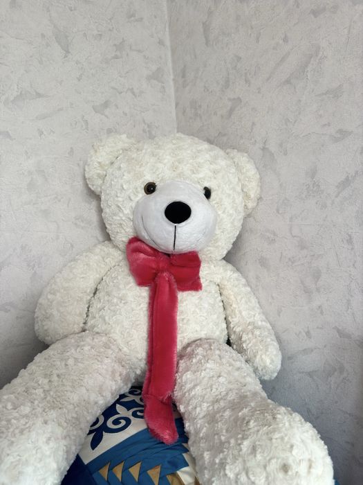 Мишка тедди, новая