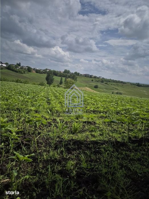 Teren intravilan Moara Nica - zona Scolii