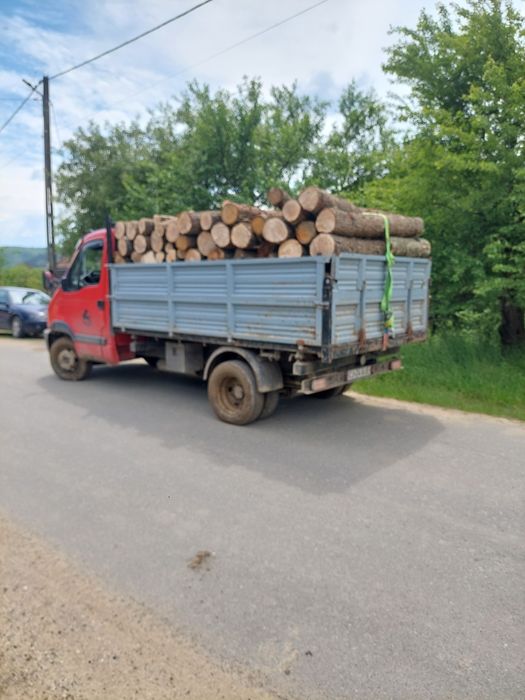 Vindem lemn de foc transport la destinație