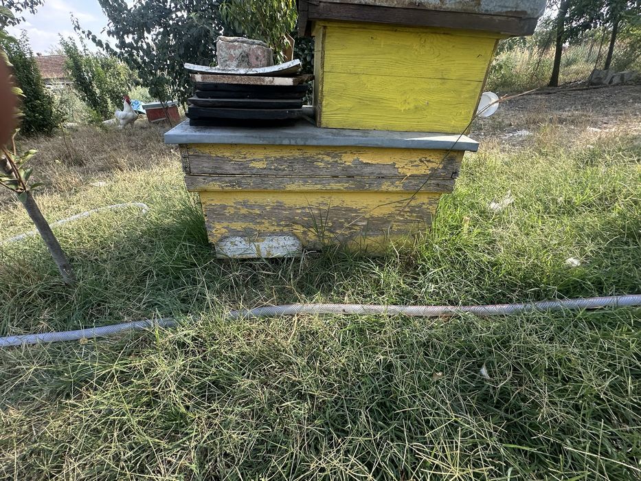 Stupi pentru albine