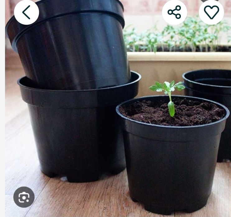 Горшки для цветов и рассады