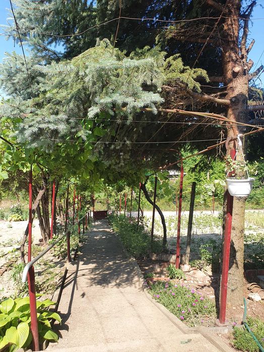 Къща с кьошк с.Ветрен