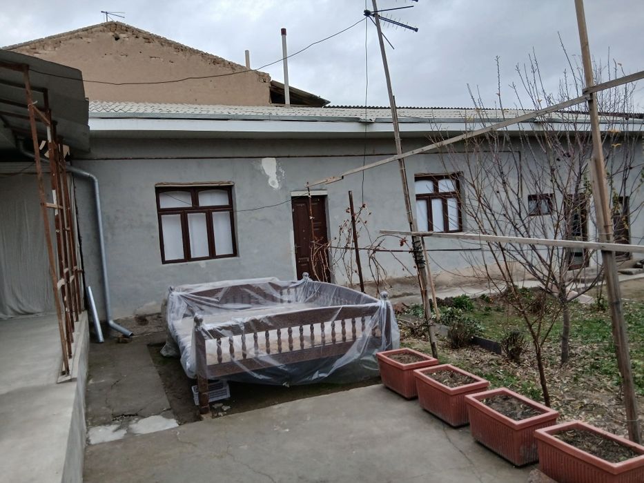 Зангиота туманида 8 сотихли ховли сотилади.