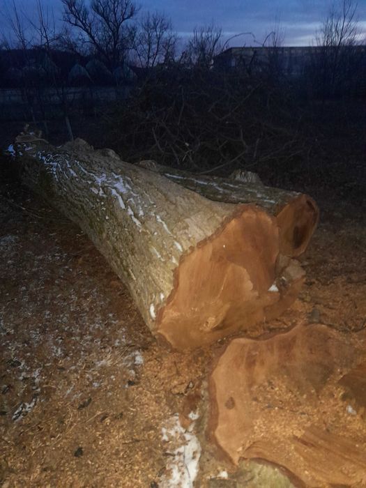 Scandura, dulapi,Nuc