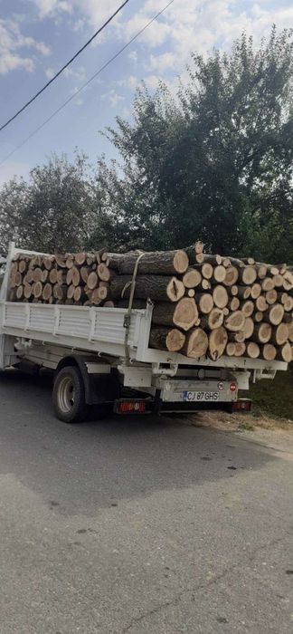 Lemne de foc la 350 lei metru esență tare