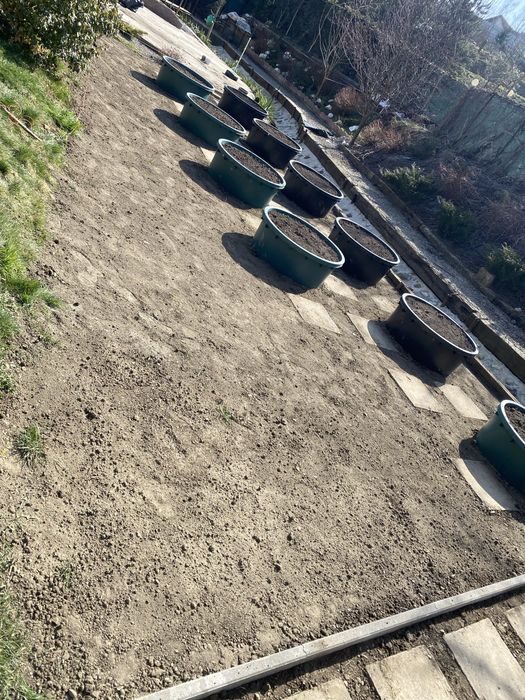 Curatenie de primavara !?