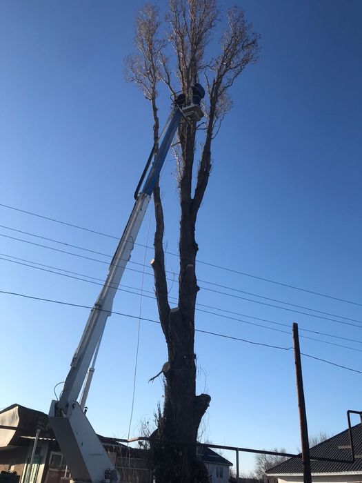 Услуги автовышки 24/7