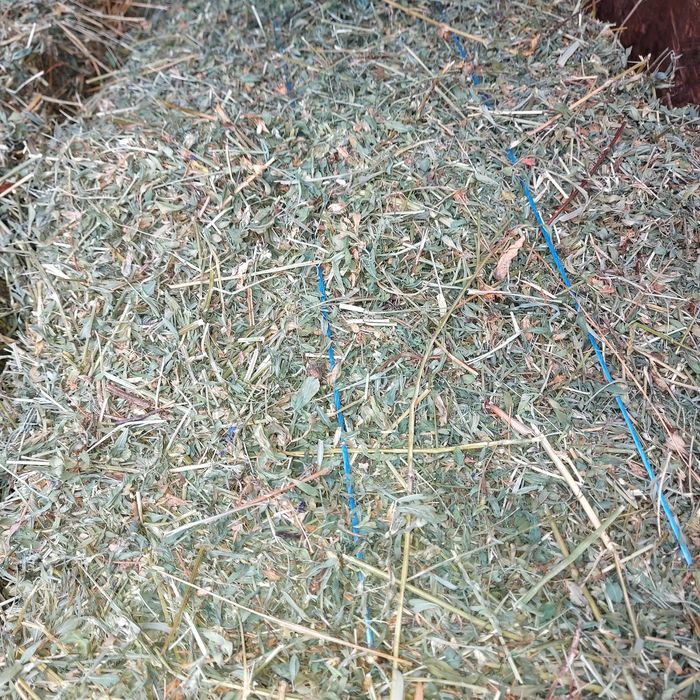 Vând baloti de lucerna,fan și paie de grau