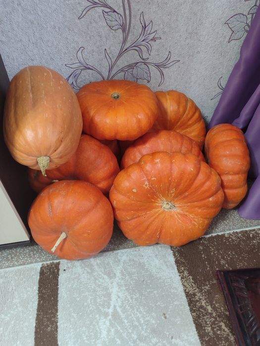 Продам сок тыквенный