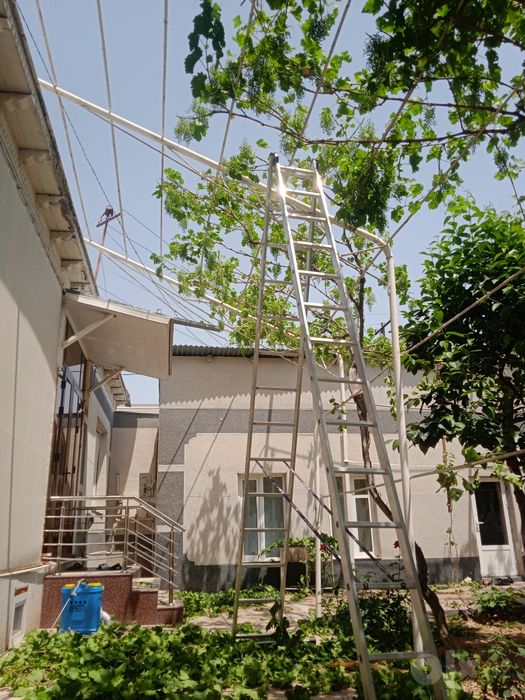 Sadovnik bogbon tok kesish archa gazon xizmati