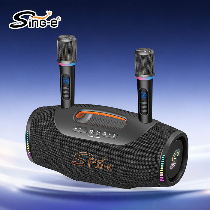 (480W) Sing-e CQS-S666 Professional Karaoke Speaker