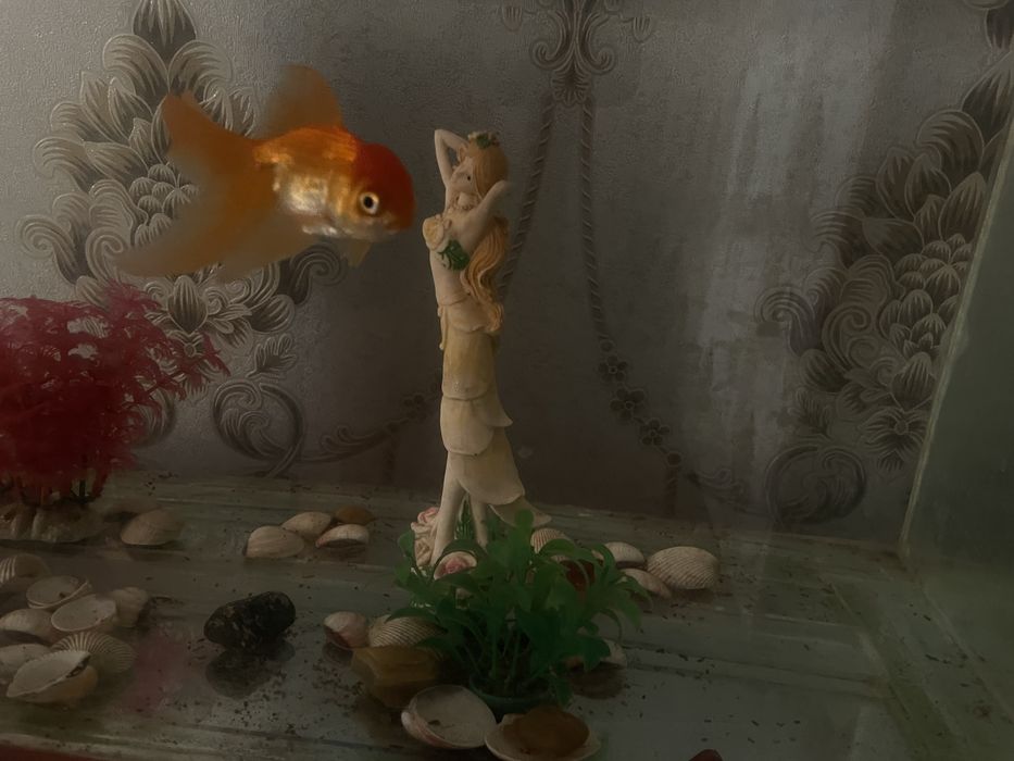 Аквариум 60литр