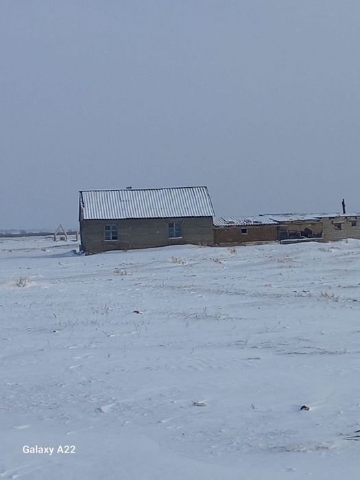 Продам крестьянское хозяйство