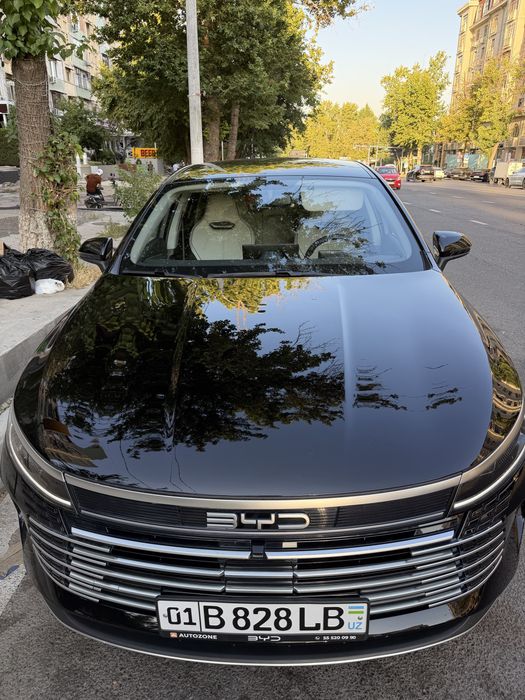 Byd chazor 55 tali