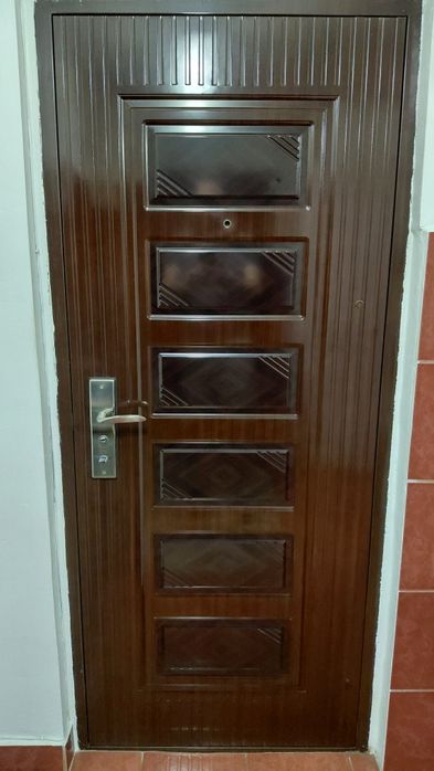 Usa metalica apartament