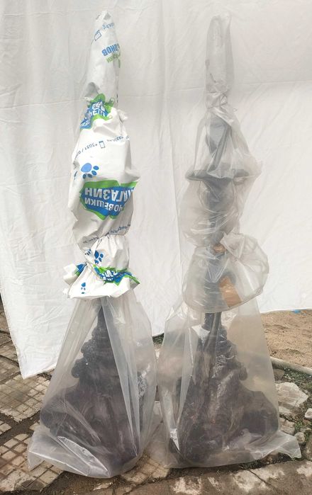 свещено изкуство, от малък параклис,