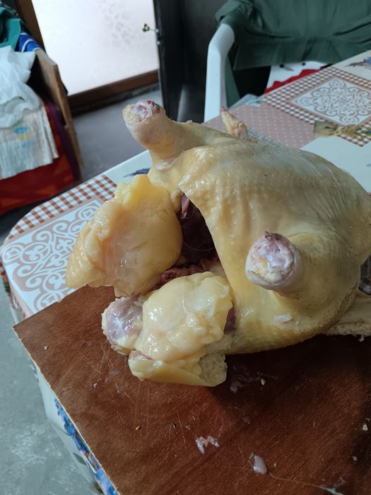 Găini albe de carne 4-4,5 kg