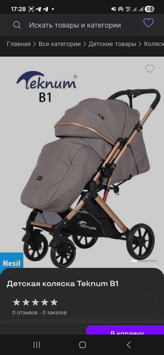 Люлька + Пргулочная коляска Teknum