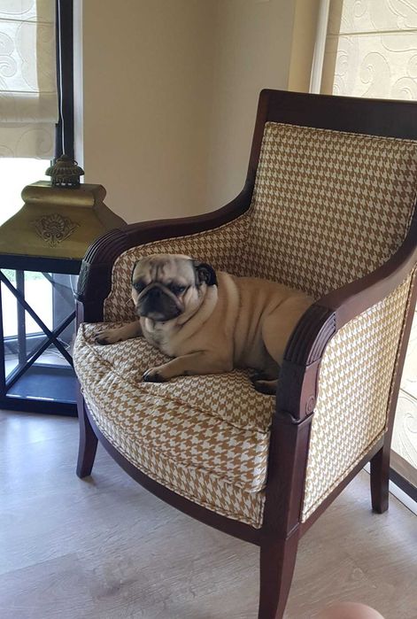 Френско кресло в стил Ампир