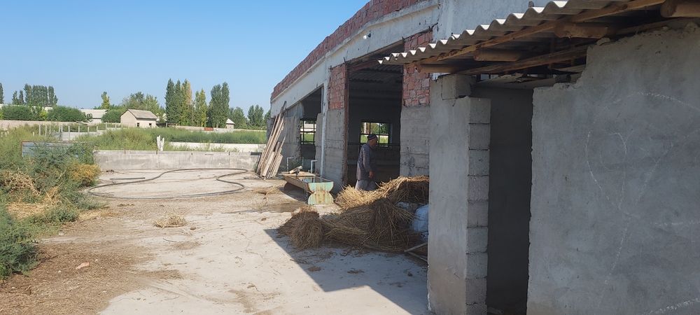 Нотурар жой. Молхона