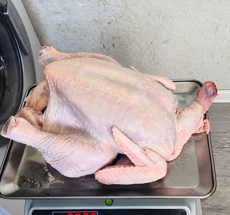 Продам мясо броллера