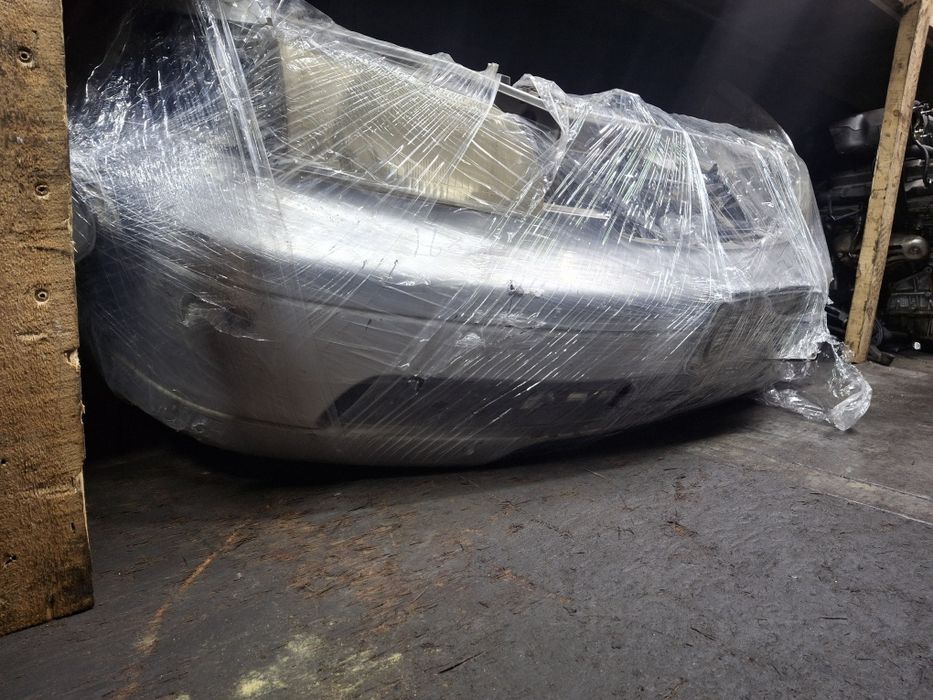 Носкат Одисей морда 1покаленя