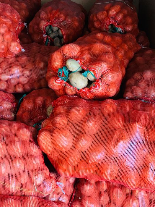 Продам картошку сорт Гала