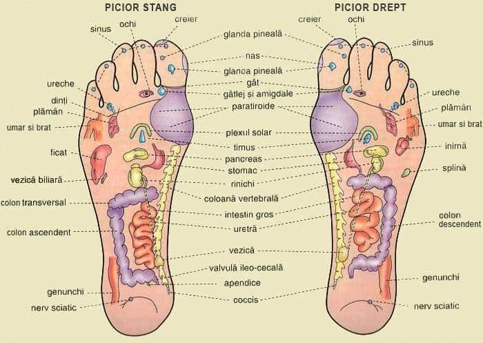 Masaj Terapeutic -Reflexoterapie Ventuze Relaxare