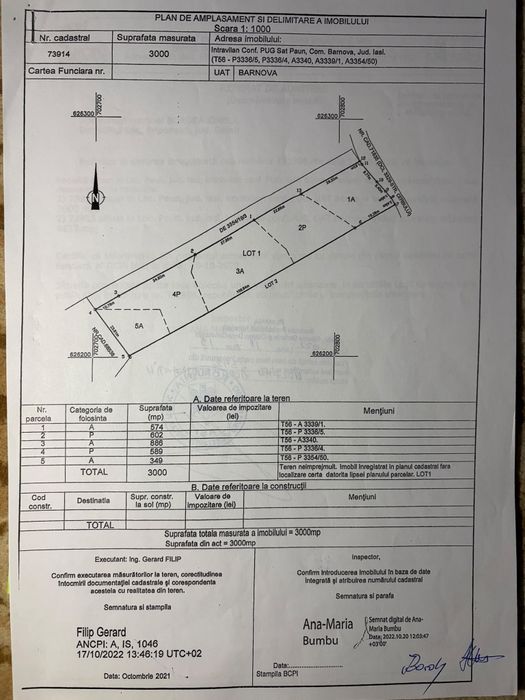 Teren intravilan 3.000 mp în Păun – utilități la poartă, lângă pădure