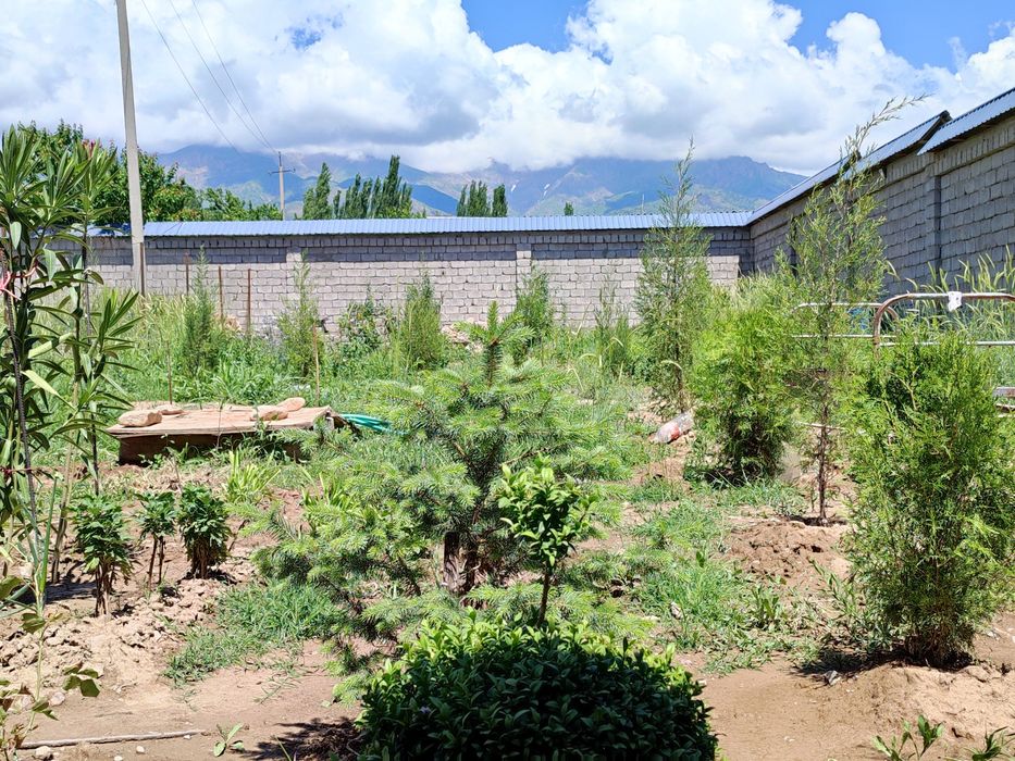 Оқтош дача сотилади